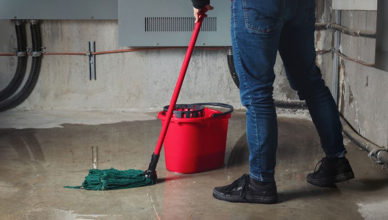 Basement Vacuuming in Redmond, WA