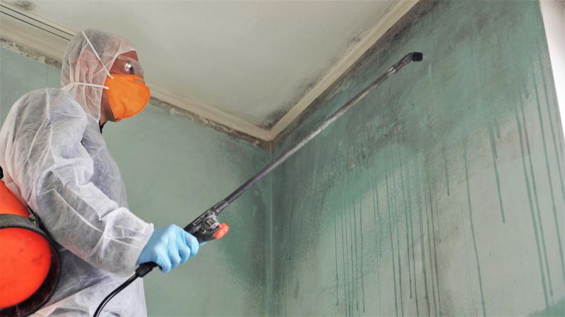 Mold Treatment Service in Dallas, TX