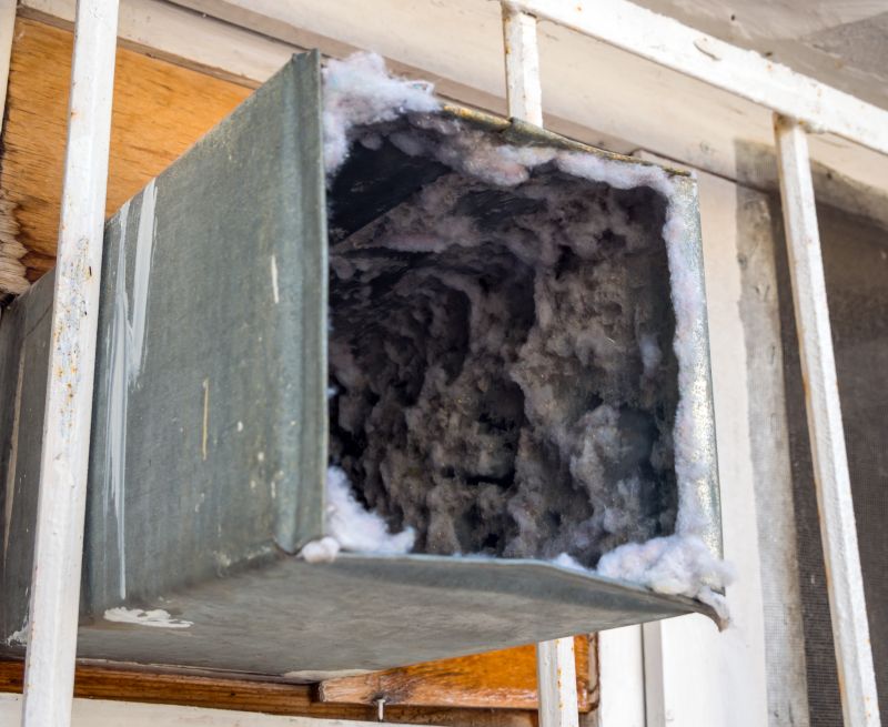 Air Duct Mold Removal in Bergen County, NJ