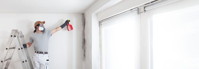 Black Mold Remediation in Fort Worth, TX