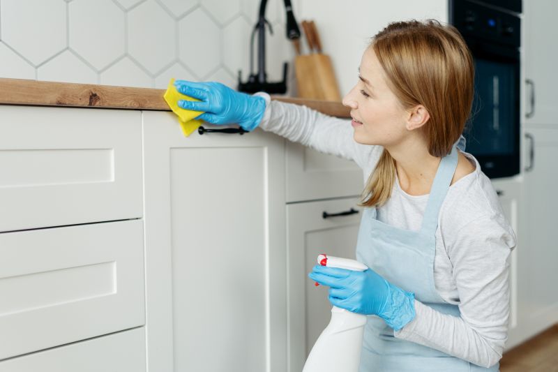Kitchen Cleaning in Redmond, WA