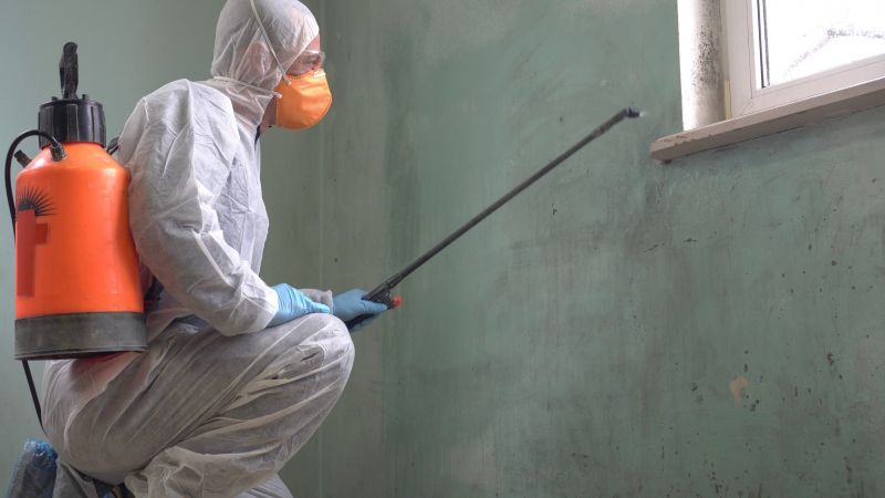 Mold Control in Bergen County, NJ
