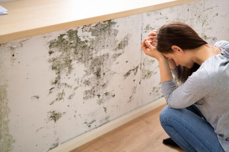 Mold Detection in West Palm Beach, FL