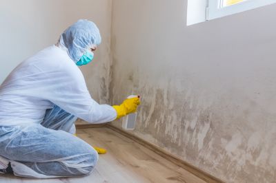 Mold Remediation Service in Dallas, TX