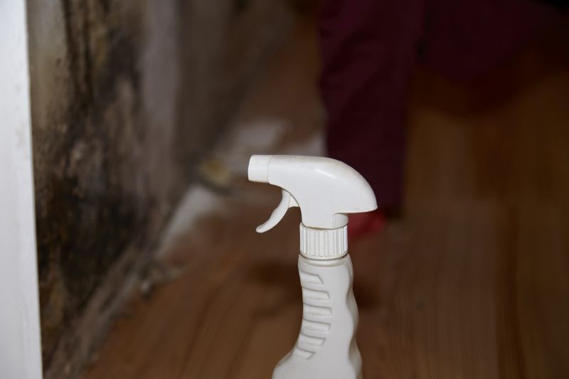 Mold Removal in Bergen County, NJ