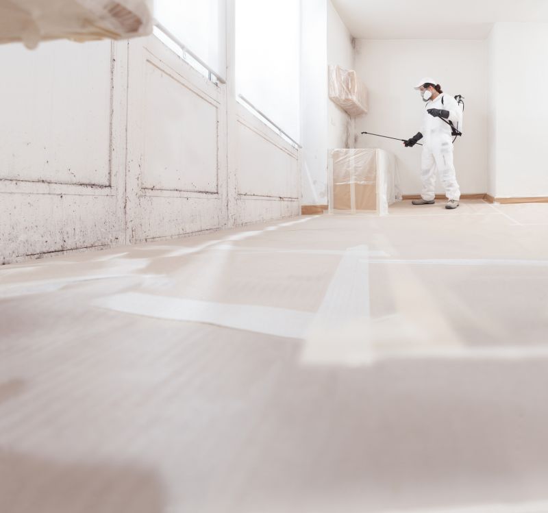 Mold Restoration in Dallas, TX