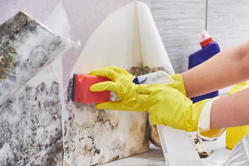 Mold Restoration in Frisco, TX