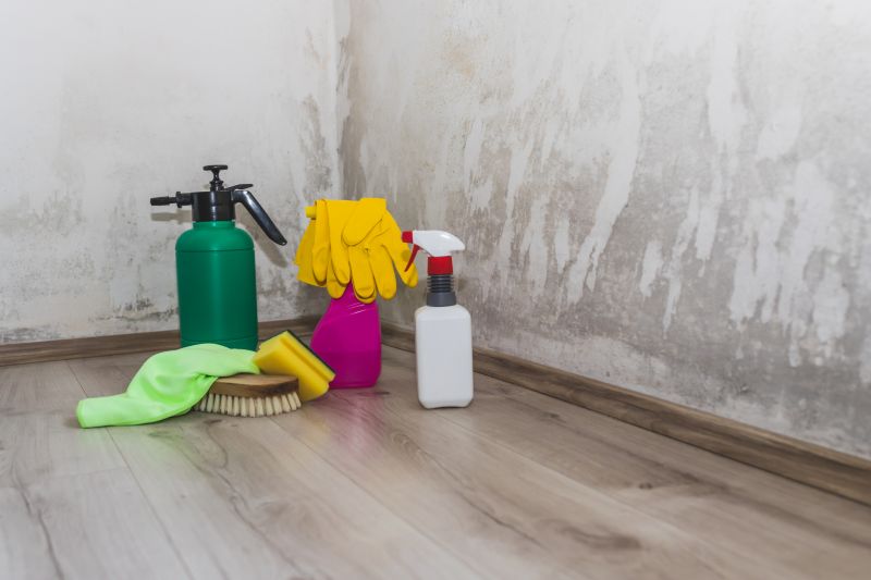 Mold Treatment Service in Frisco, TX