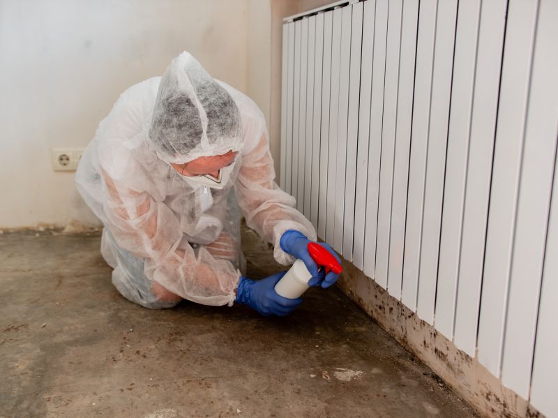 Mold Treatment Service in Broward County, FL