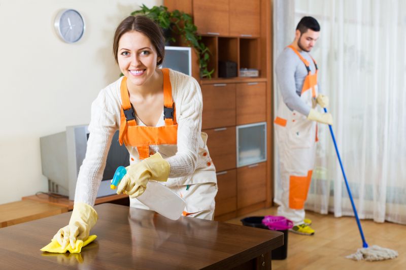 Reo Property Cleaning in Frisco, TX
