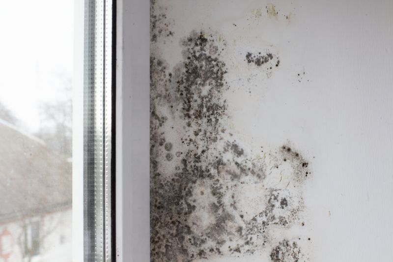 White Mold Mitigation in Frisco, TX