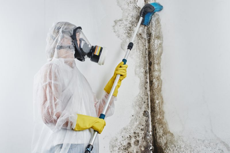 White Mold Mitigation in Dallas, TX